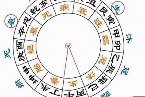 子息二支意思|八字《子息歌》“长生四子中旬半”的正确用法详解